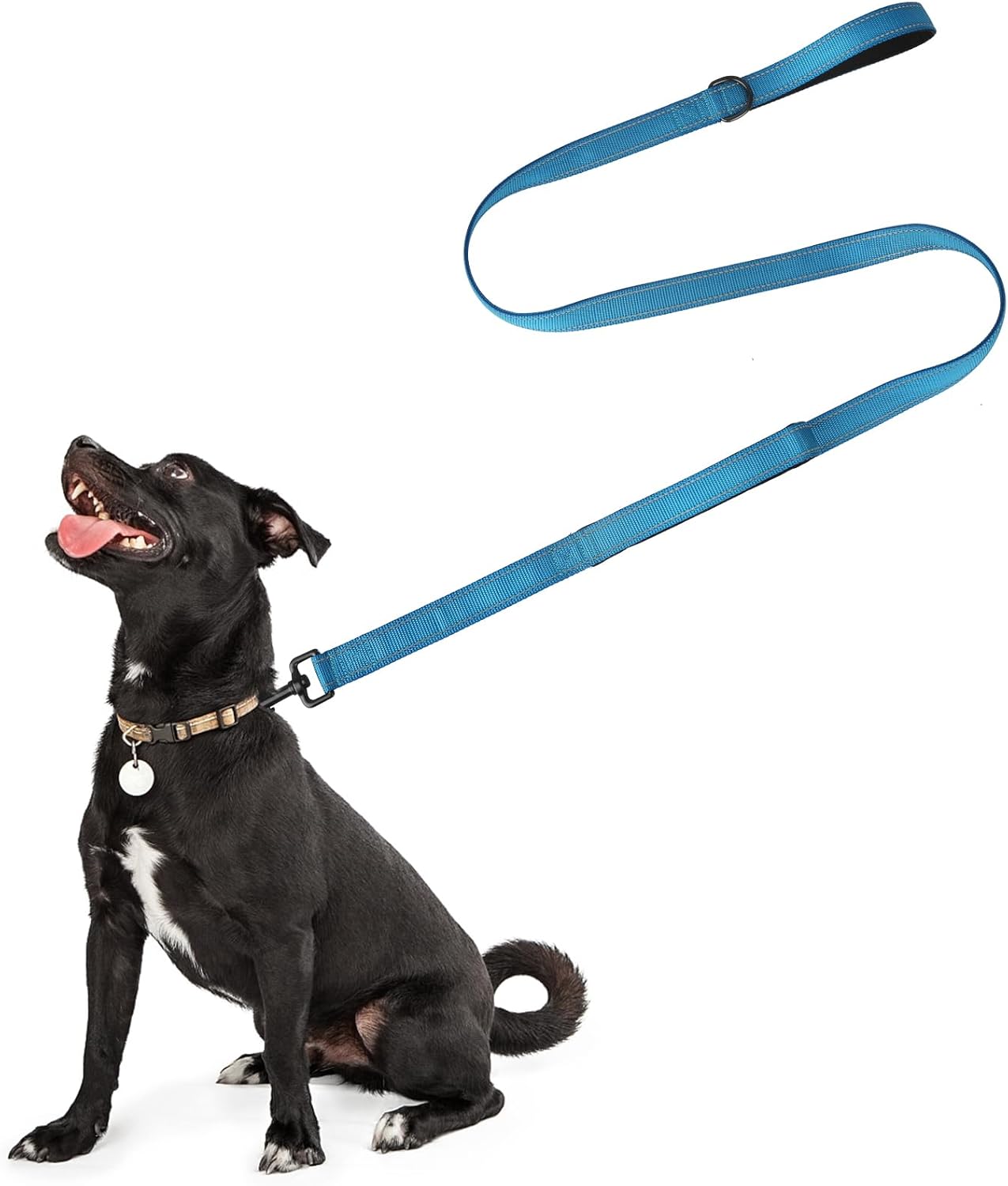 Dog Leads For Large Dogs, Special 1.5m Strong Dog Lead with Close Control Handle...
