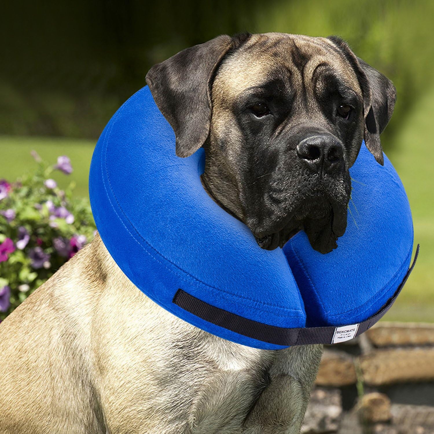 BENCMATE Protective Inflatable Collar for Dogs and Cats - Soft Pet Recovery Coll...