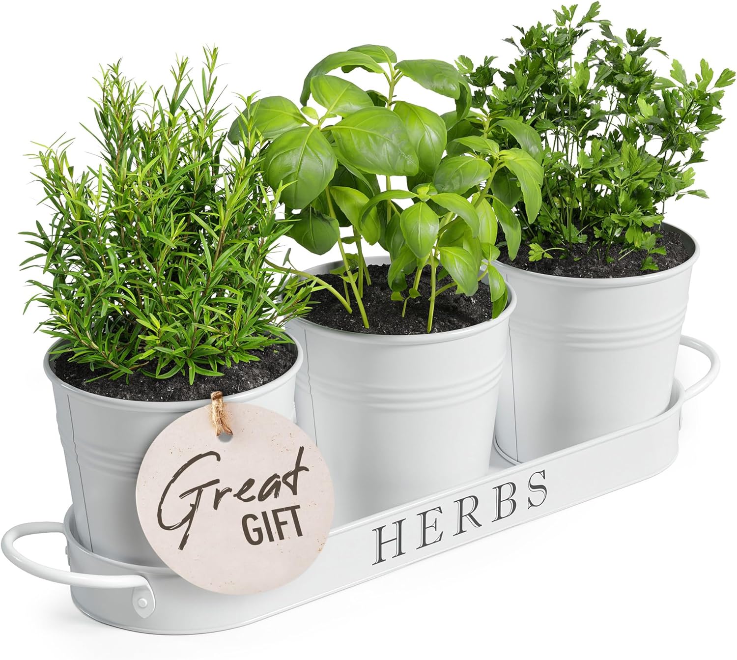 Barnyard Designs Indoor Herb Garden Planter Set with Tray, Metal Windowsill Plan...