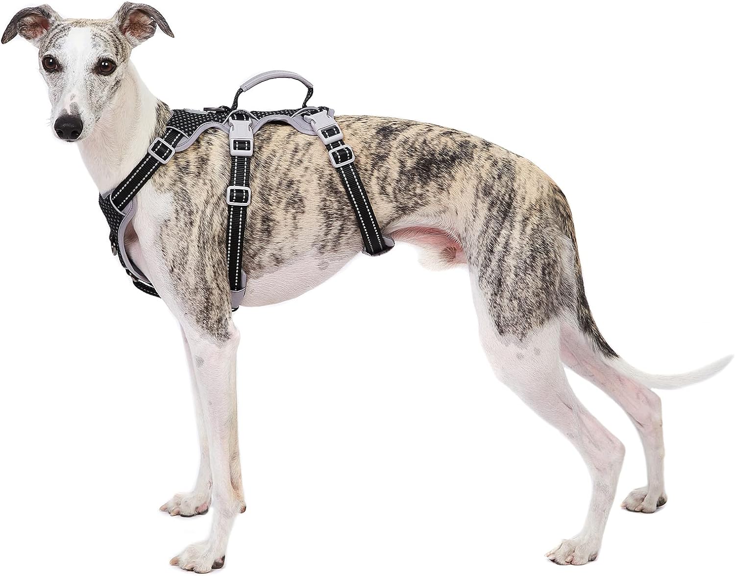 Escape Proof Dog Harness, Secure Dog Harness No Escape, Fully Reflective Harness...