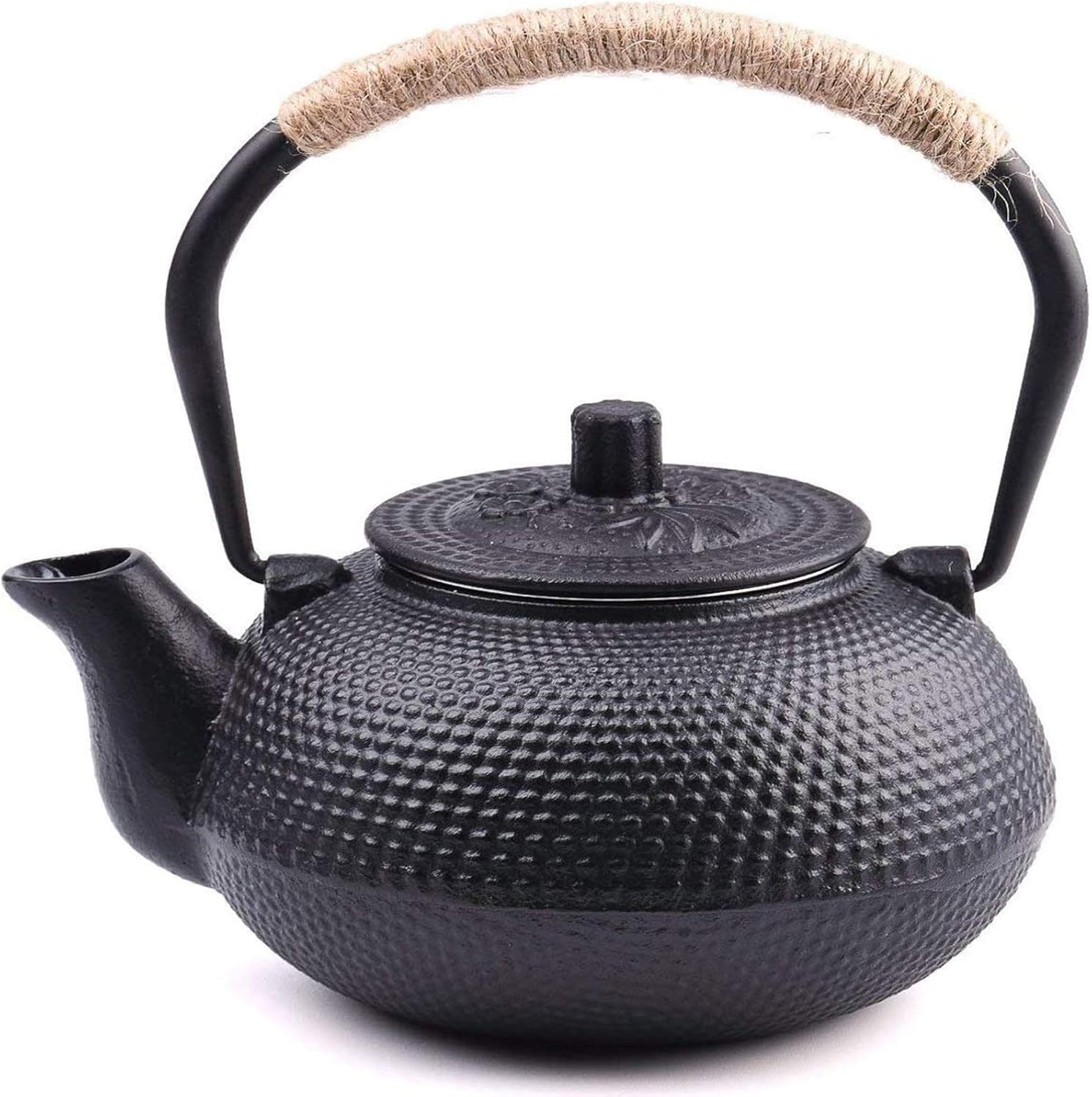 Suyika Japanese Tetsubin Cast Iron Teapot, Special Tea Kettle with Stainless Ste...