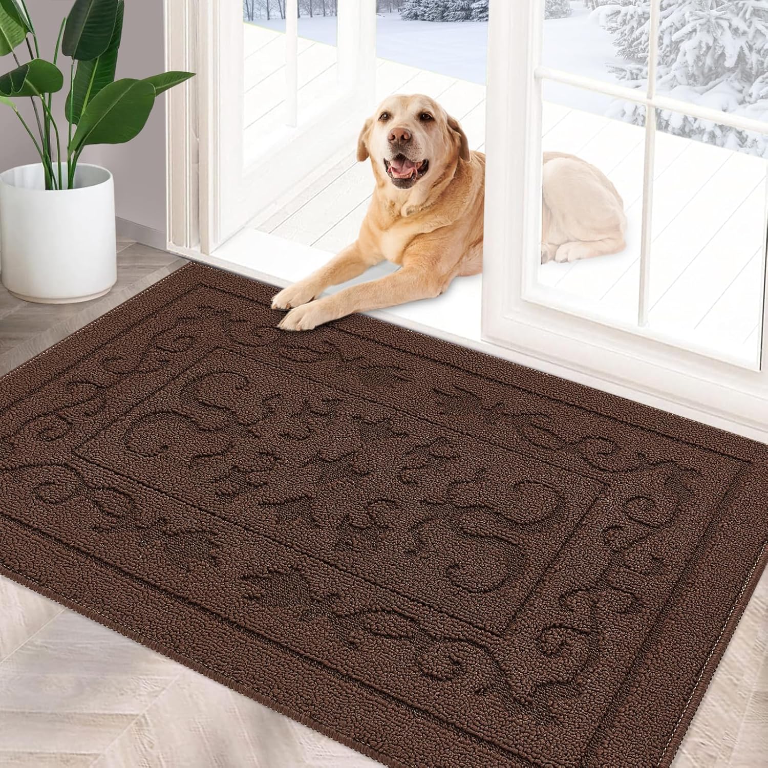 FONEYI Indoor Doormat, Special Front Back Door Mat 32"x40", High-Quality Washabl...