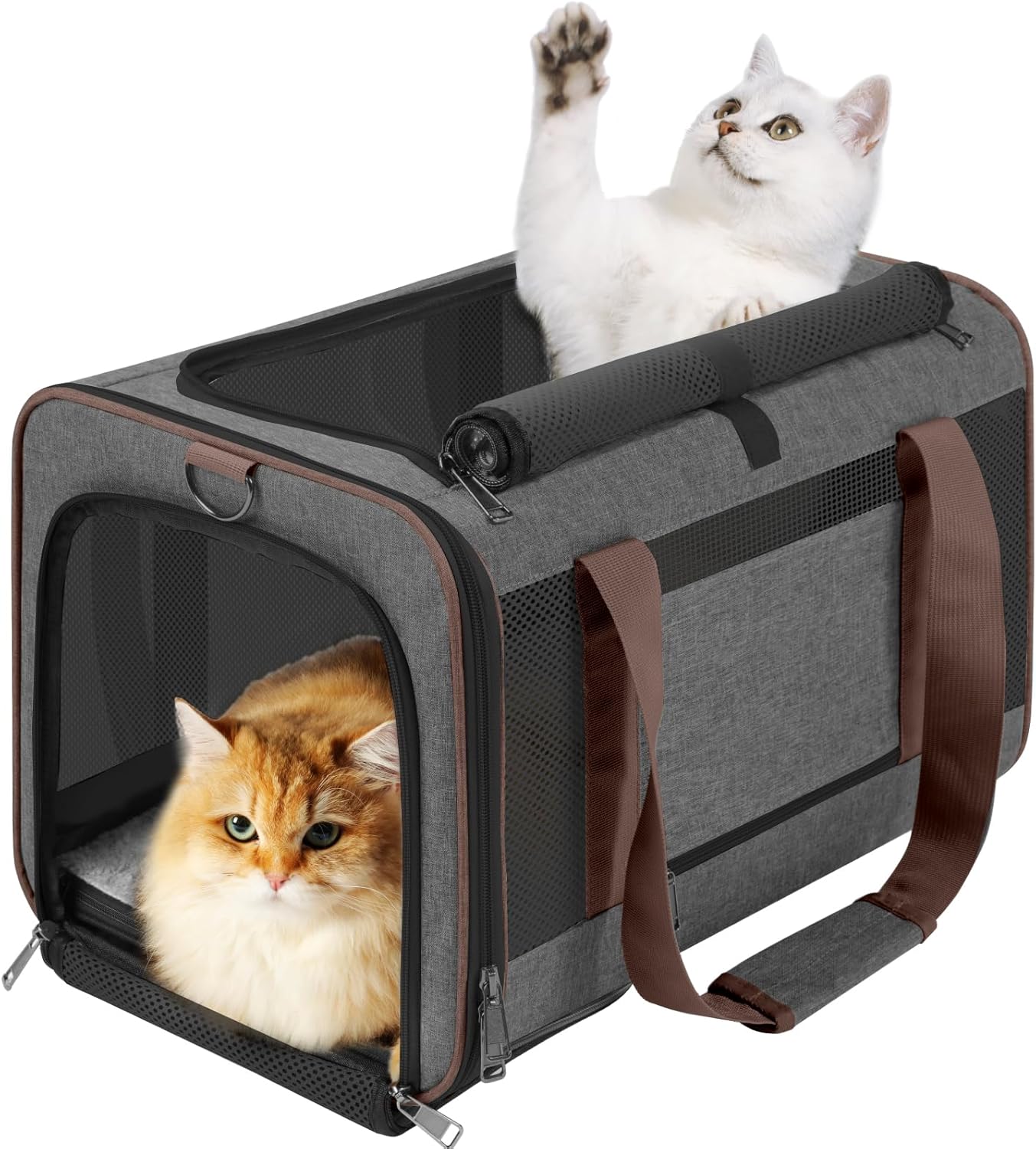 **Best Small Dog Carrier Cage, Special Carrier for Chihuahua/Softshell, Unique B...