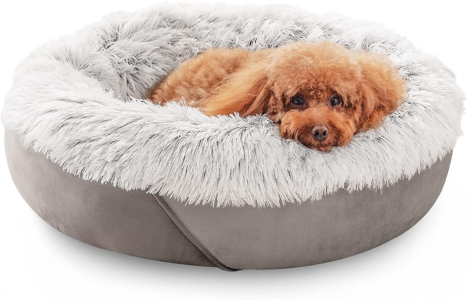 JOEJOY Small Dog Bed & Cat Bed, Anti-Anxiety Puppy Cuddler Bed, Cozy Soft Round...