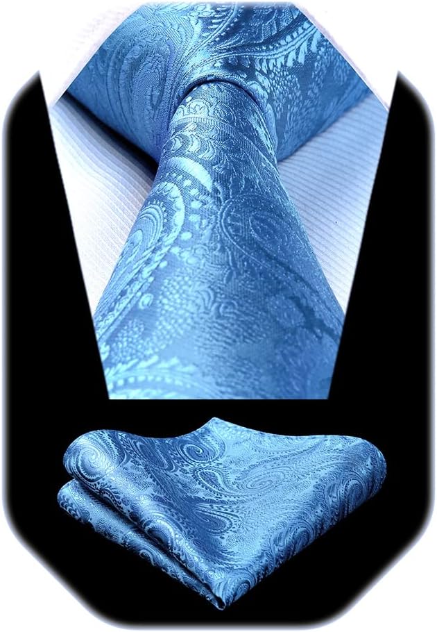 HISDERN Solid Paisley Tie, Special Men's Necktie for Classic Style, Unique Woven...