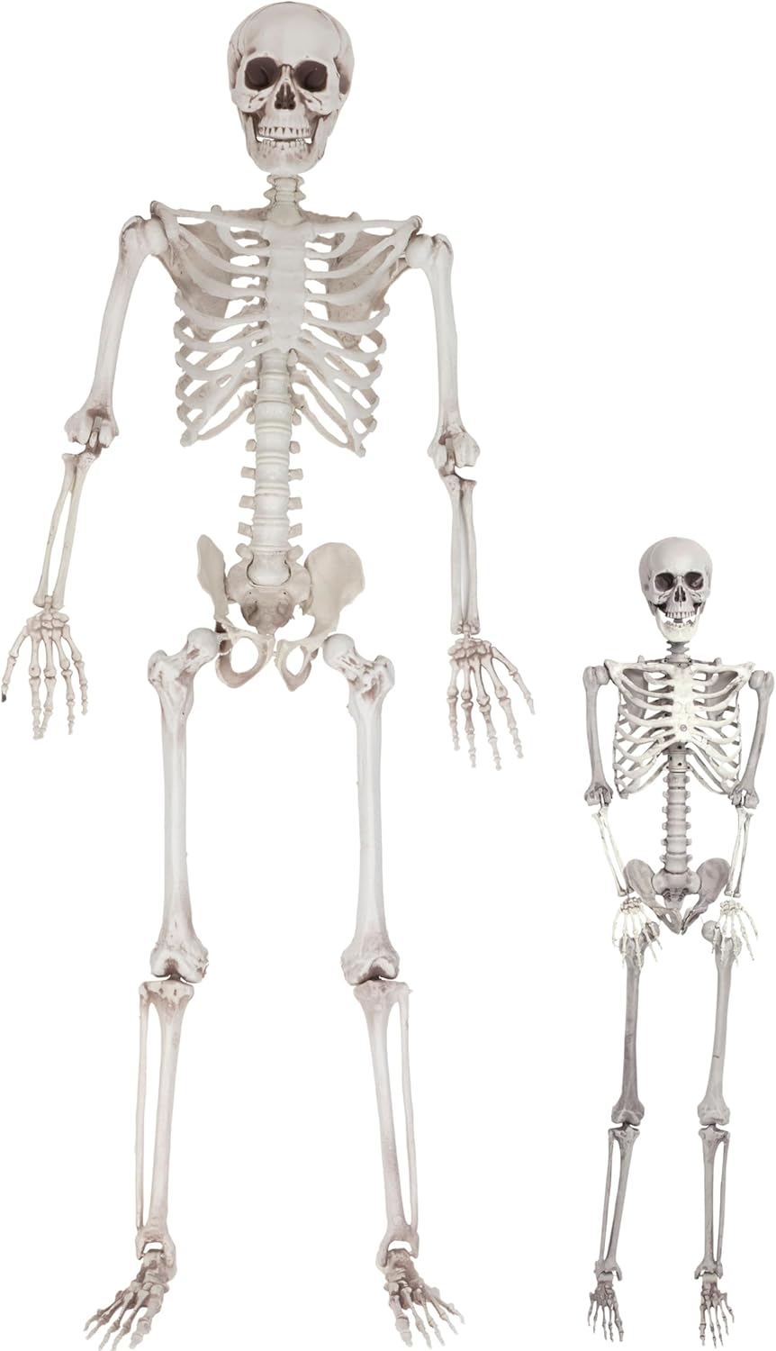 Life Size Human Skeleton Halloween Decoration Value 2 Pack- Adult 5' 4" & Child...