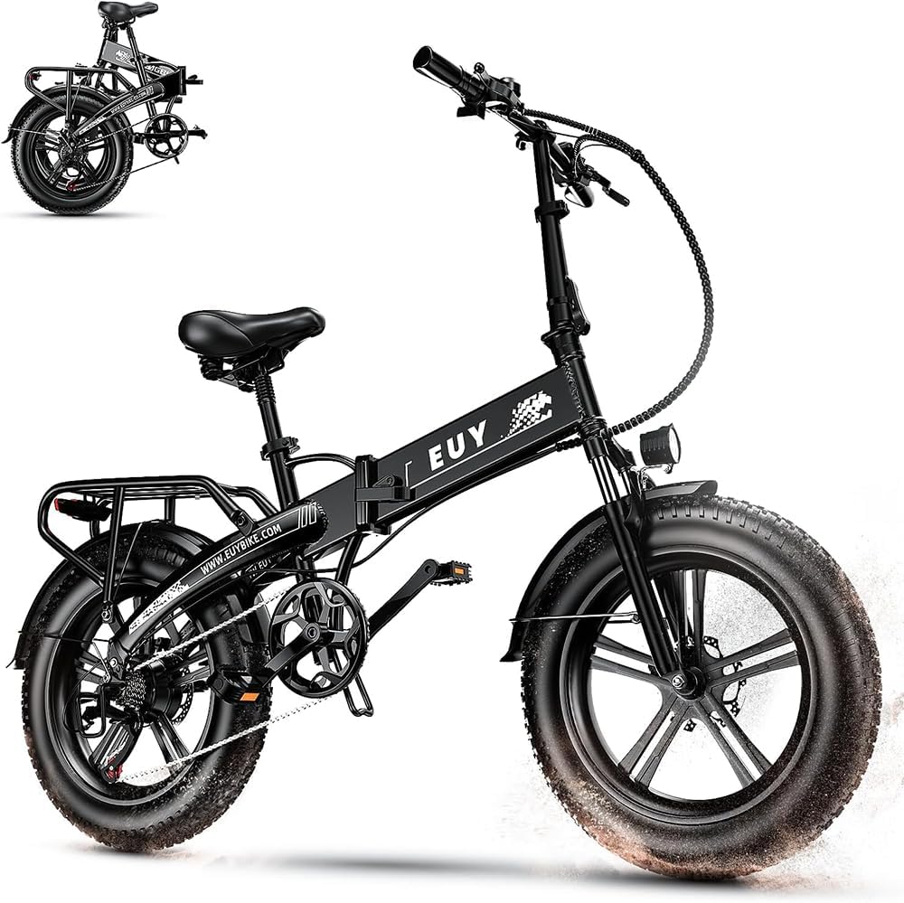 Folding Electric Bike, Special Bike for Adults with 750W Motor (1000W Peak), Sus...