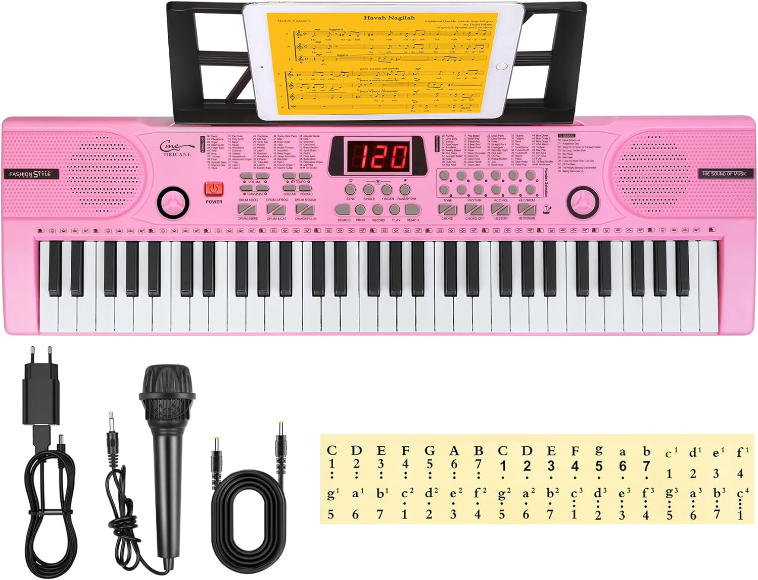 Hricane Electronic Keyboard Piano 61 Keys, Portable Digital Pianos Music Keyboar...
