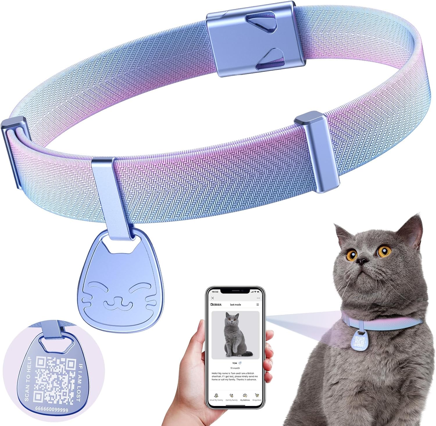Cat Collar, Special Kitten Collar With Name Tag, Ultra Soft Breakaway Kitten Col...
