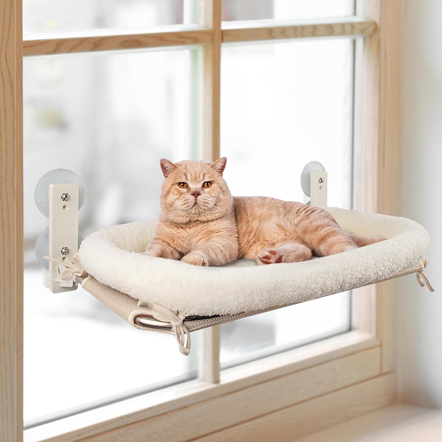 **Best PEFUNY Cordless Folding Cat Window Perch, Special Cat Hammock for Window...