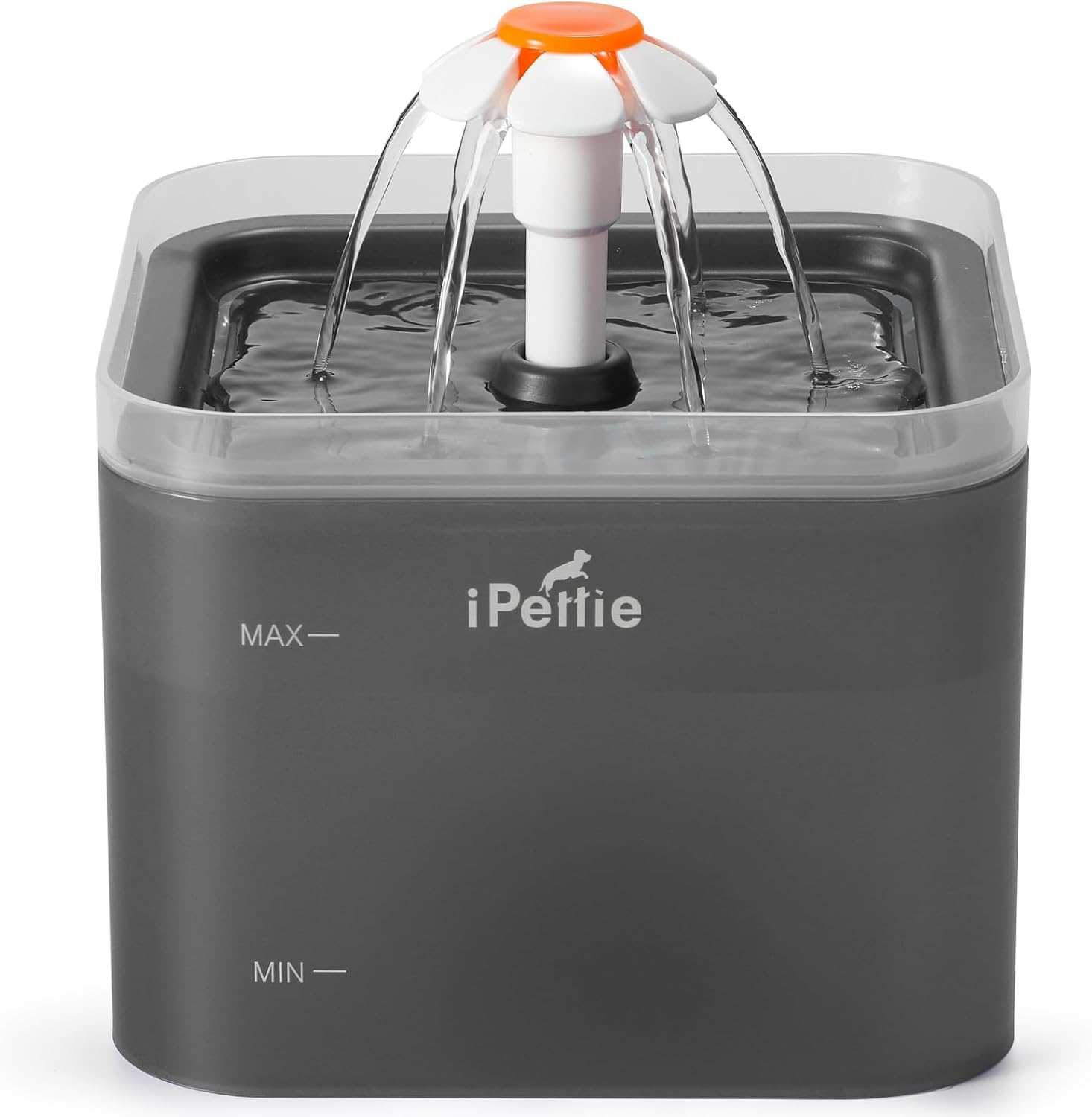 iPettie Neverland Cat Water Fountain, Special Water Dispenser with LED Light, Hi...