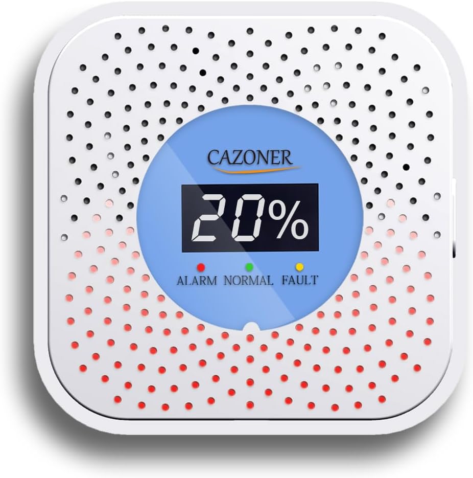 Propane Gas Detector, Special 10-Year Lifespan Gas Detector, Innovative Natural...