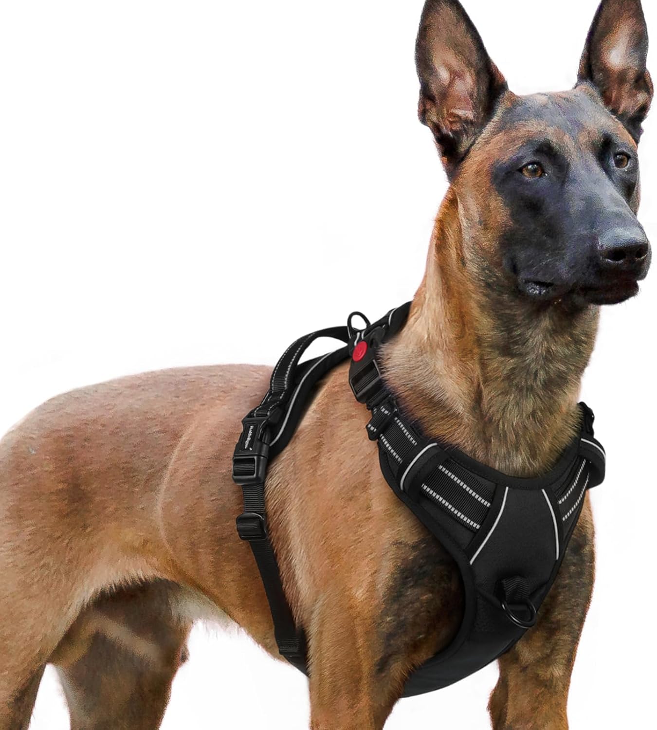 rabbitgoo Dog Harness, Special Large Dog Harness with Neck Release Buckle, Adjus...