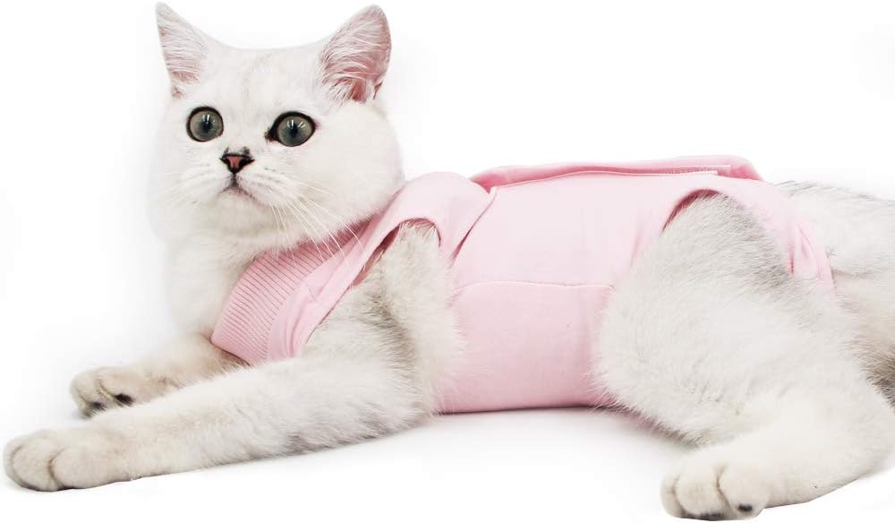 Cat Professional Recovery Suit, Special E-Collar Alternative for Cats, Innovativ...