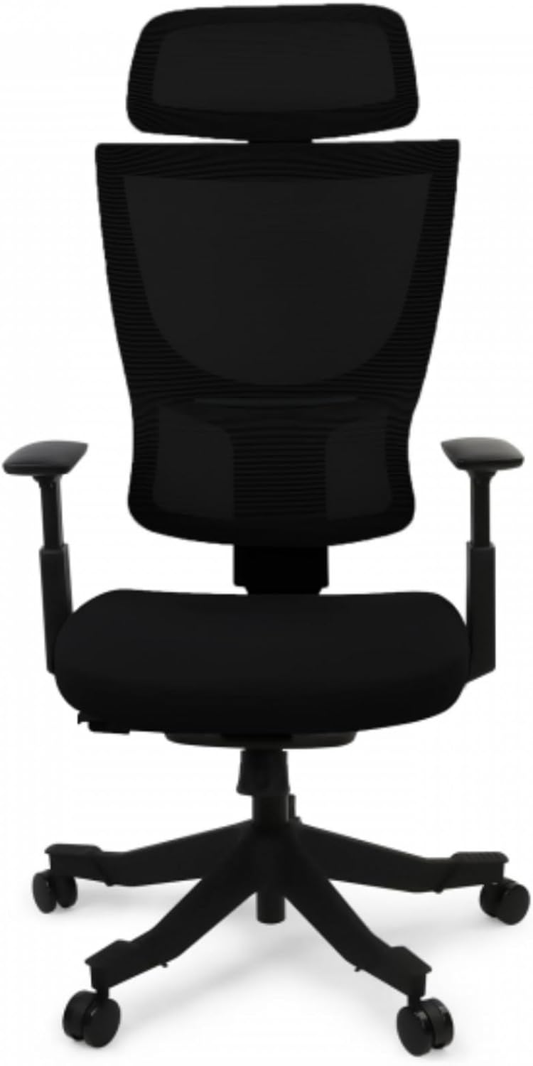 FLEXISPOT Ergonomic Office Chair, Mesh Desk Chair with 9 Level Adjustable Backre...