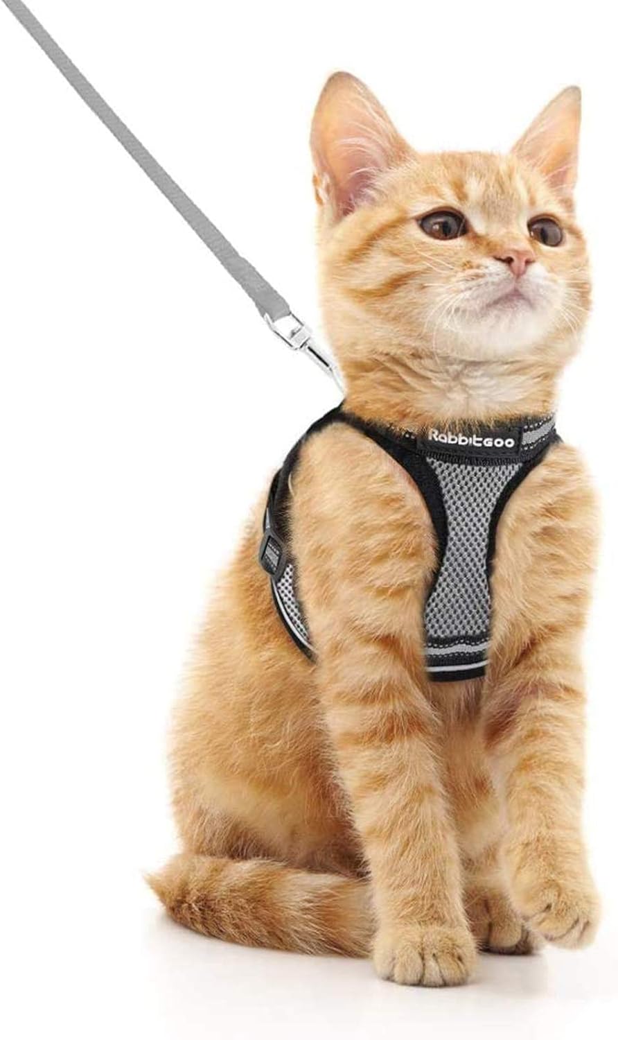 rabbitgoo Cat Harness, Special Cat Harness and Leash Set for Walking, Innovative...