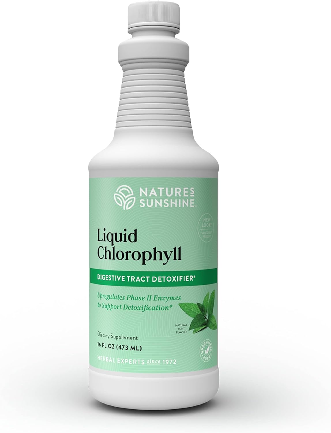 Nature's Sunshine Liquid Chlorophyll, Special Immunity Support Supplement, Innov...