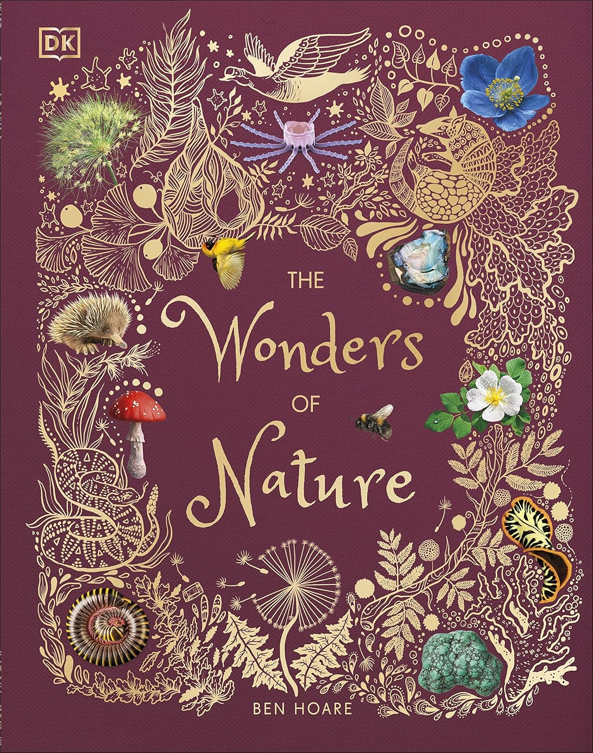 DK Children's Anthologies Book, Special Wonders of Nature Book, Innovative Child...