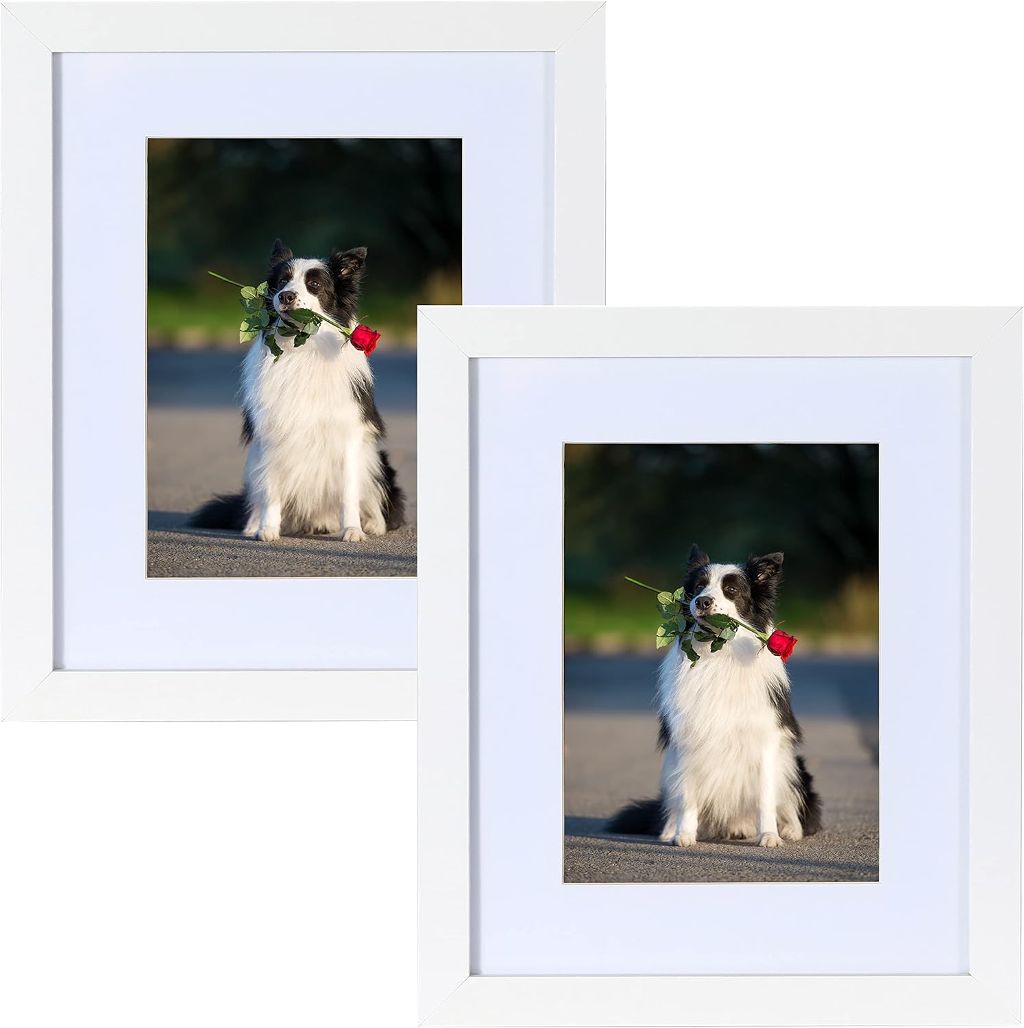 PEALSN 11x14 Picture Frame Set, High-Quality Picture Frames with Real Glass, Ver...