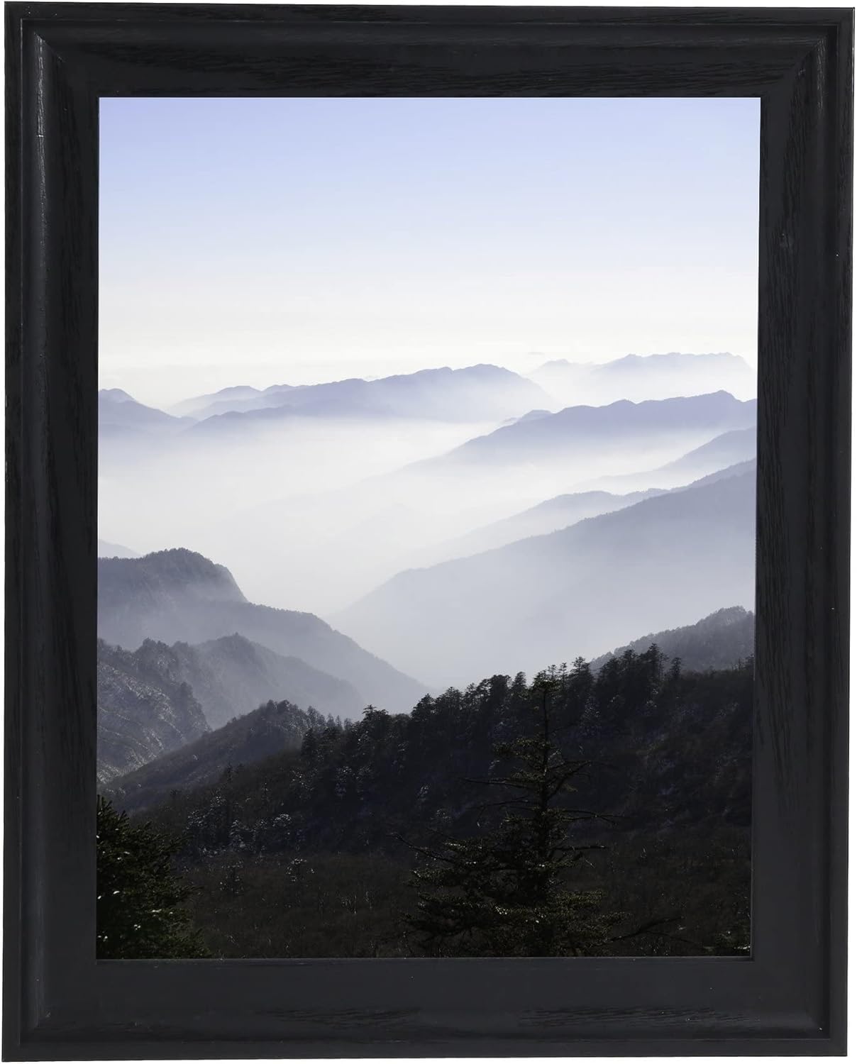 Medog Diploma Picture Frame, Special Display Pictures Frame for 8.5x11 Certifica...