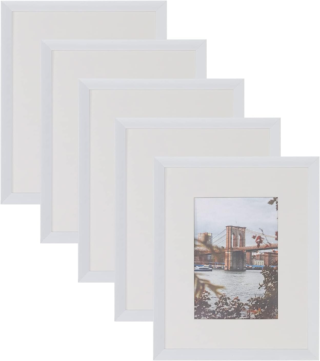 9x12 Picture Frame Set, Special Display Frames for Photos 6x8 with Mat or 9x12 W...