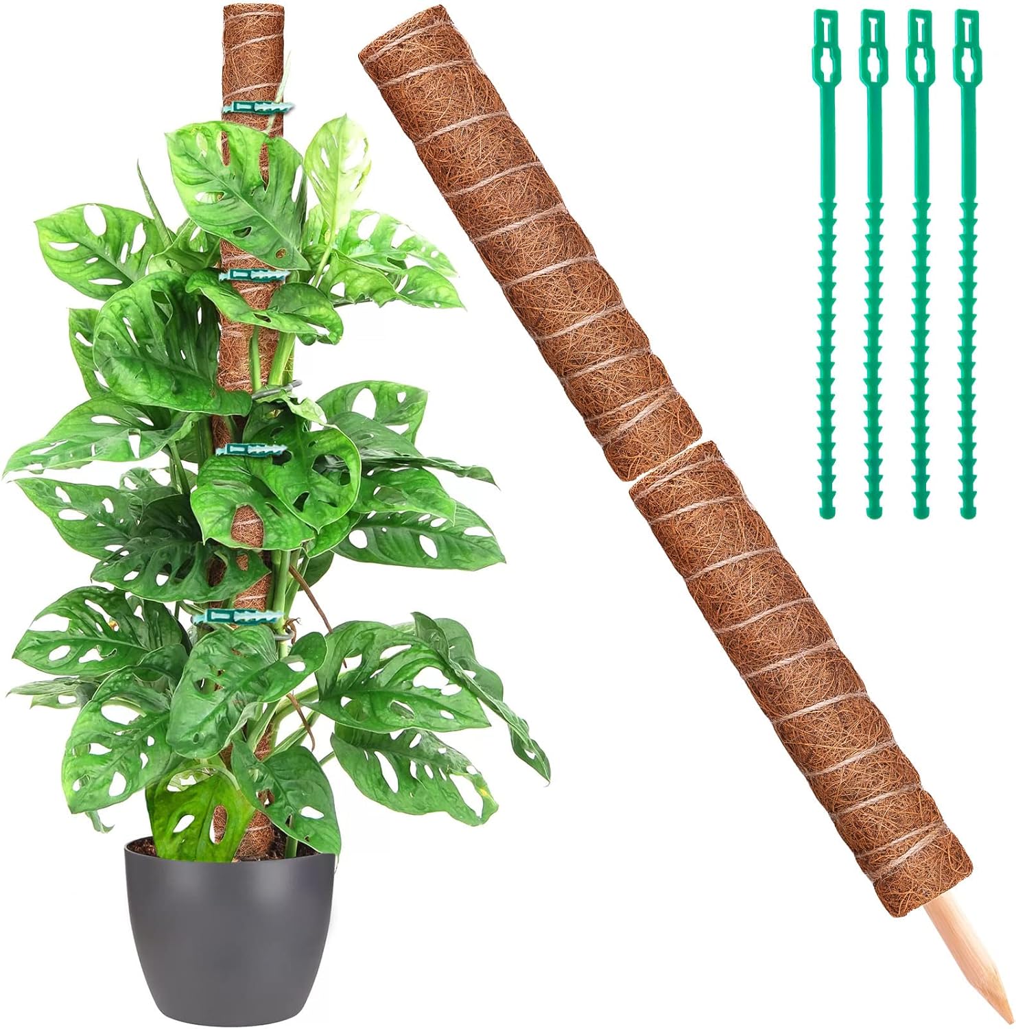 Plant Support, 32IN Moss Pole By Moss Coir, Unique 2 Pack 16IN Moss Coir Totem P...