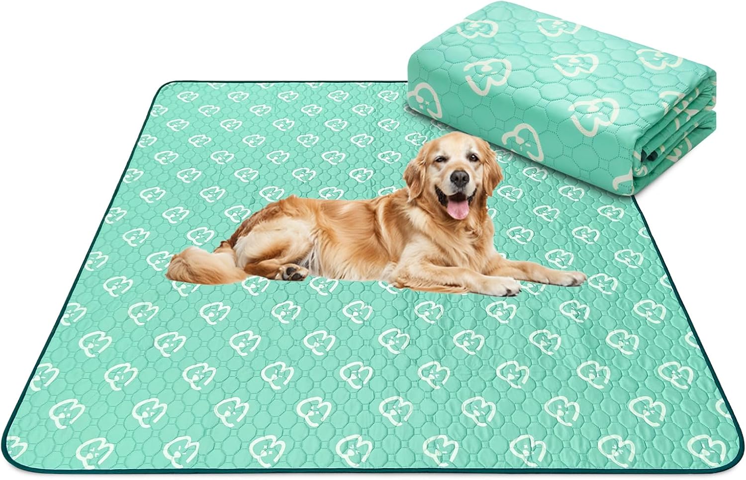 FXW Washable Pee Pads for Dogs, Puppy Pads with Super Absorbent, 63" x 63", Spec...
