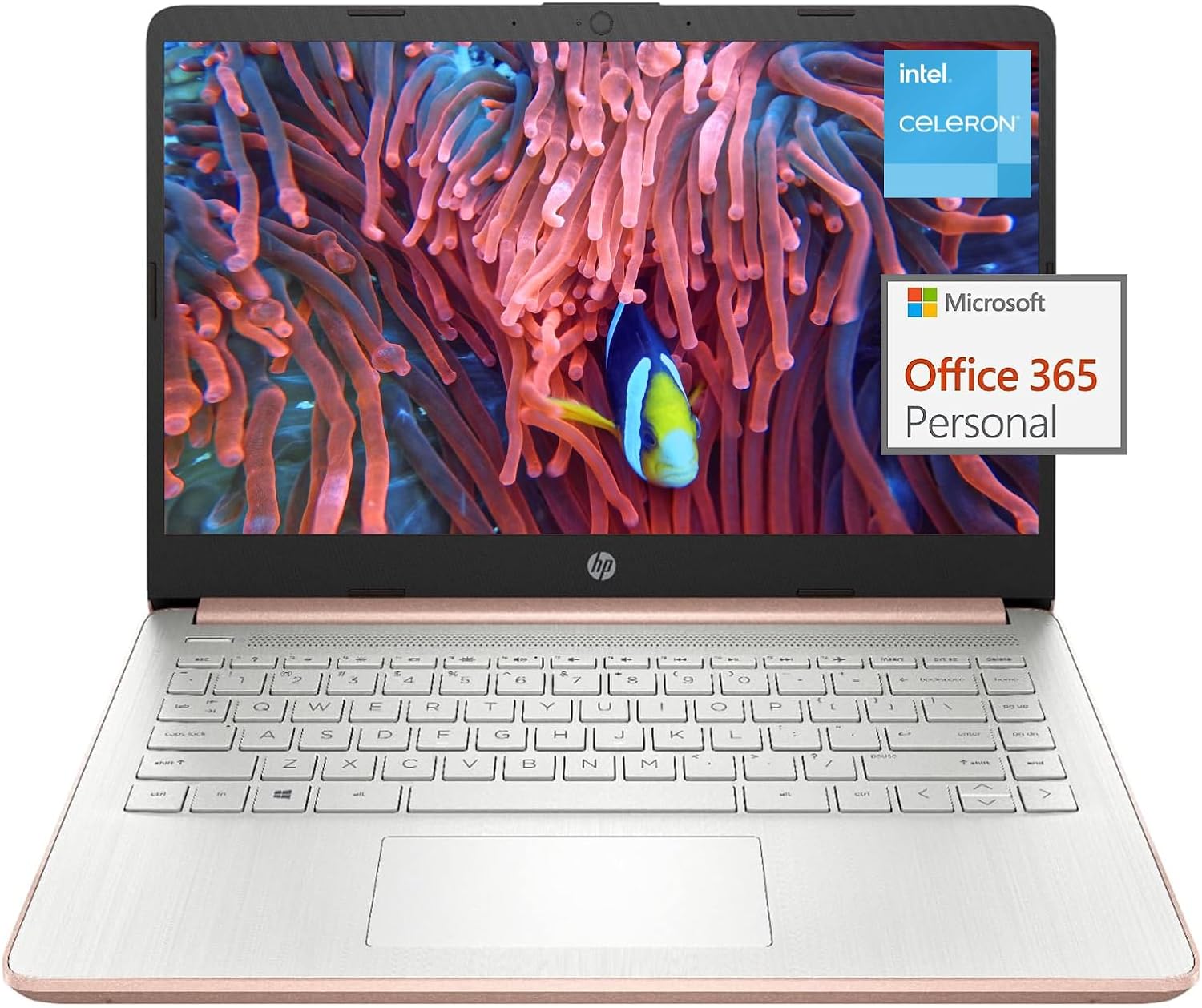 HP Stream 14-inch Laptop for Student and Business - 1-Year Office 365, Intel Qua...