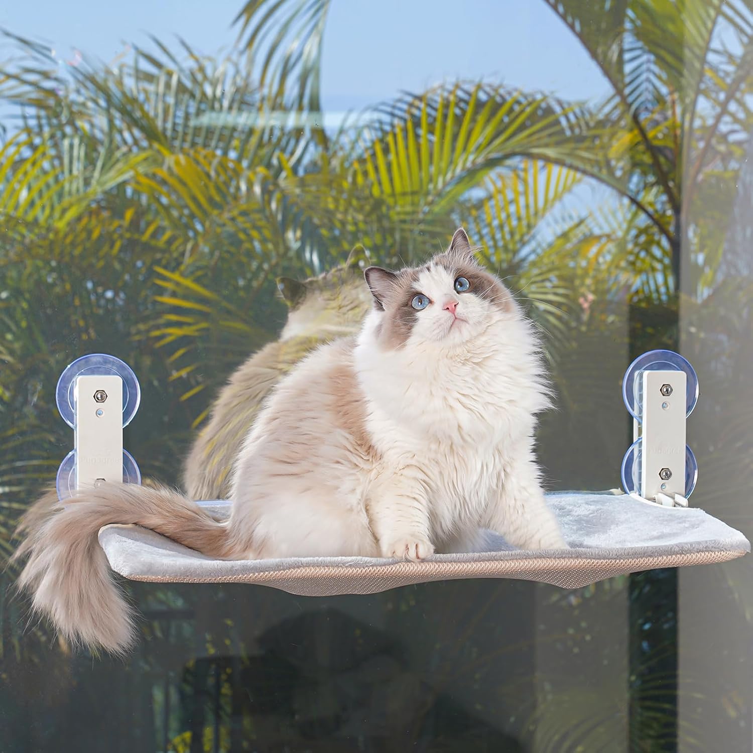 PEFUNY Cordless Folding Cat Window Perch, Premium Cat Hammock for Window and Wal...