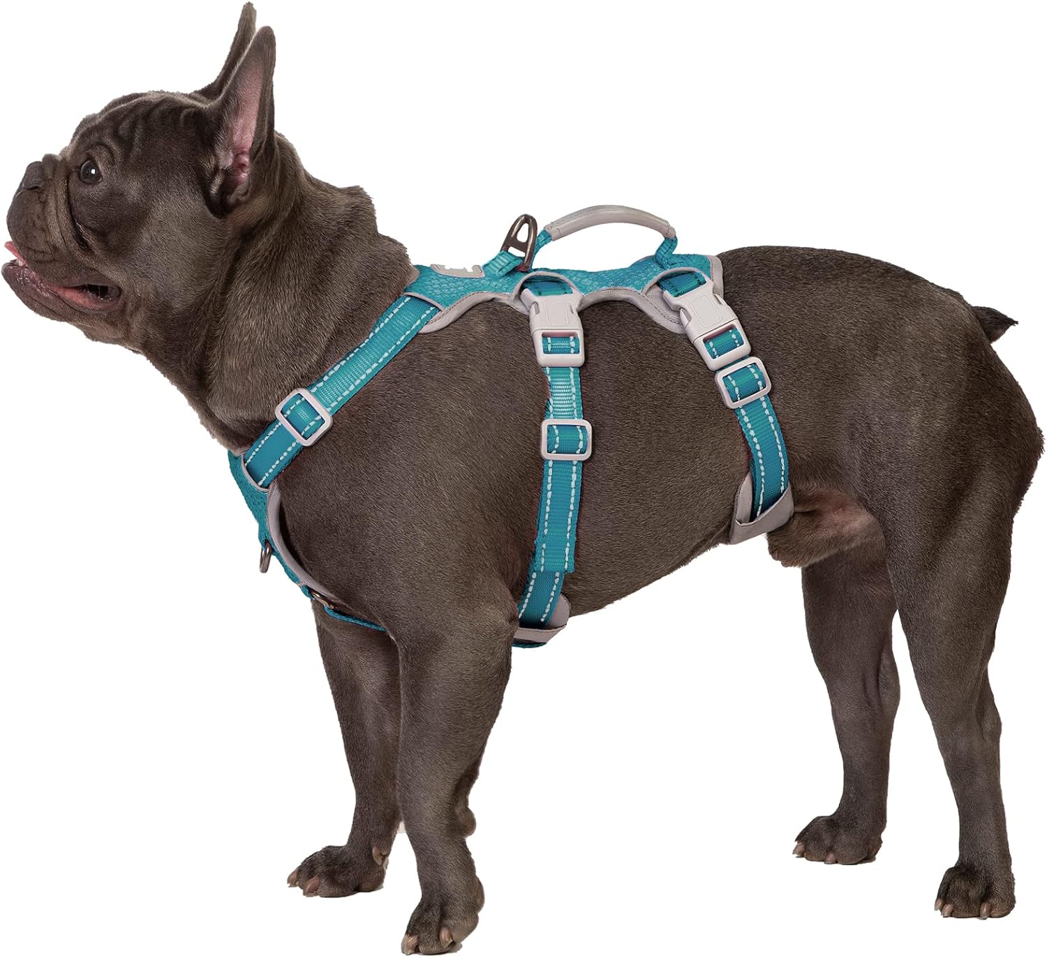 No Escape Dog Harness, Escape Proof Harness, Fully Reflective Harness with Padde...