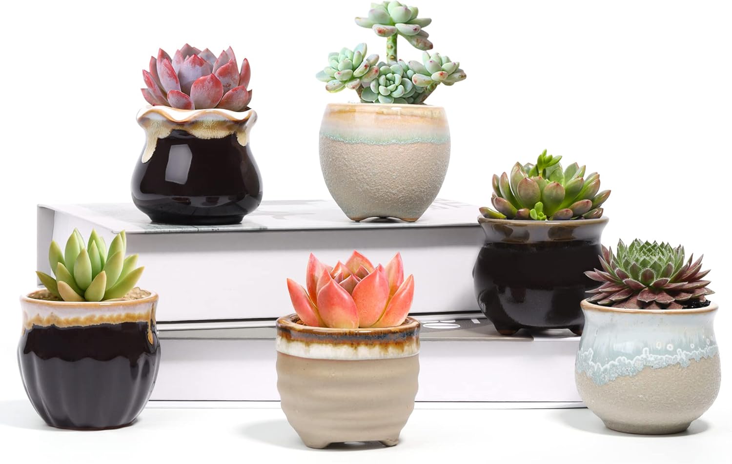 T4U Small Ceramic Succulent Pots with Drainage Set of 6, Mini Pots for Plants, T...