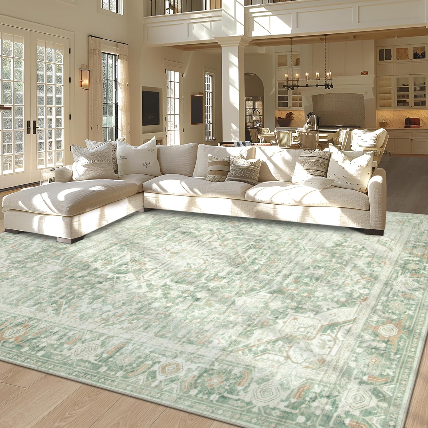 Washable Rug, Special 6x9 Area Rugs, Innovative Soft Vintage Living Room Rug wit...