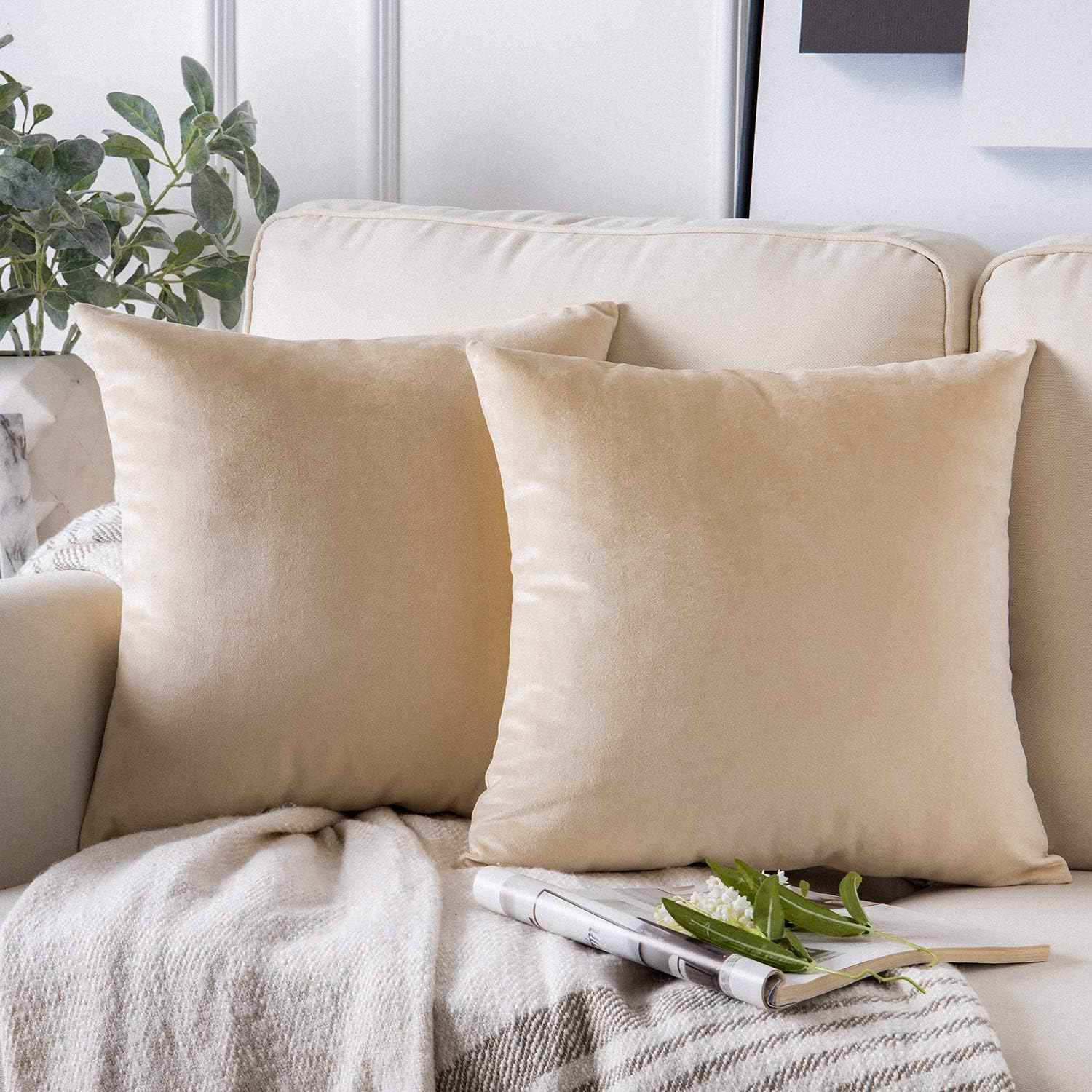 Phantoscope Pack of 2 Velvet Decorative Throw Decorative Pillow Cover Soft Solid...