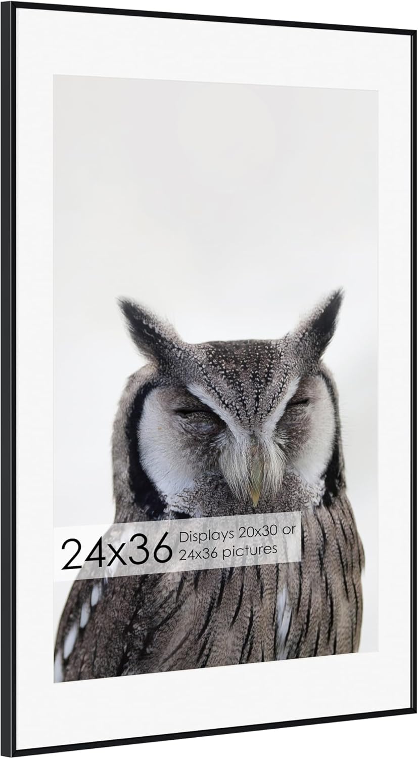 24x36 Metal Picture Frame, Special Picture Frame with 20x30 Mat, High-Quality Br...