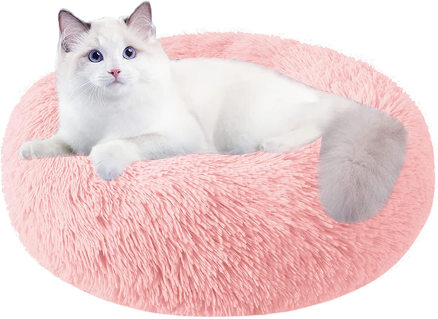 Nisrada Cat Beds for Indoor Cats,20 Inch Dog Bed for Small Melium Large Dogs, Wa...