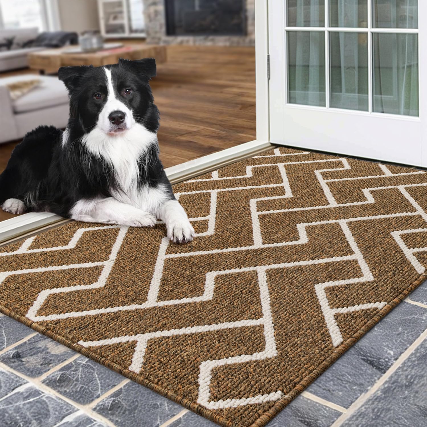 Hicorfe Indoor Doormat, Special Front Back Door Entrance Mat, Innovative Non Sli...