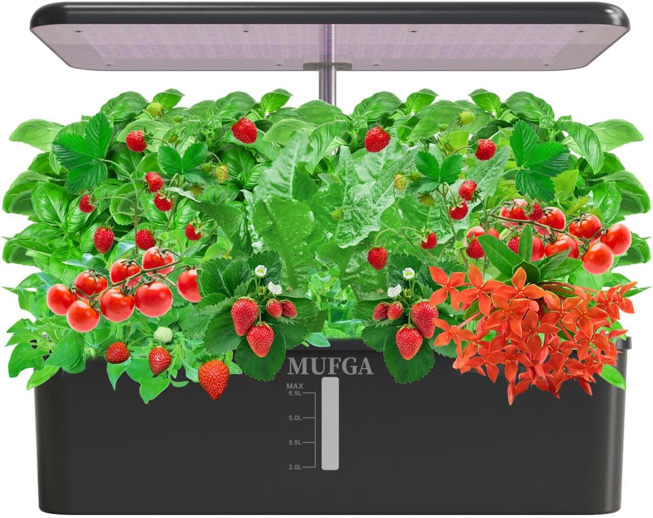 Hydroponics Growing System Herb Garden - MUFGA 18...