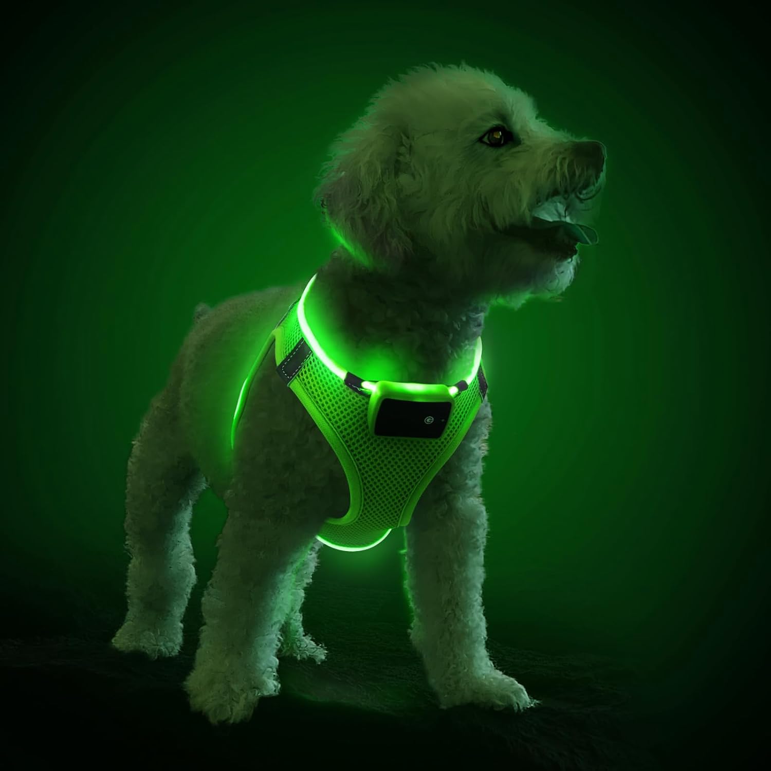 Light Up Dog Harness, Reflective LED Dog Harness Rechargeable, Waterproof Flashi...