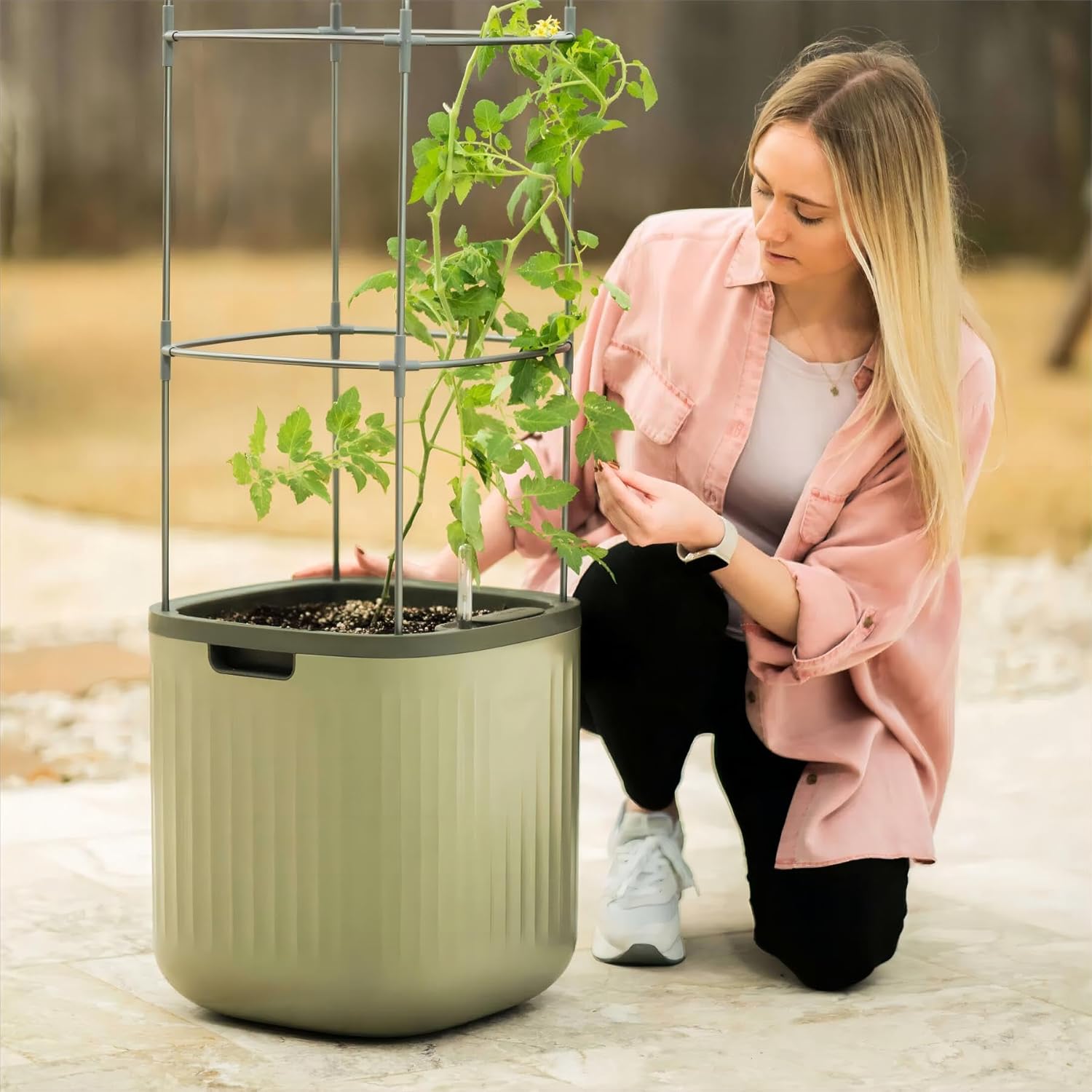 Vego garden Tomato Planter Box with Trellis Self-Watering Rolling Raised Garden...