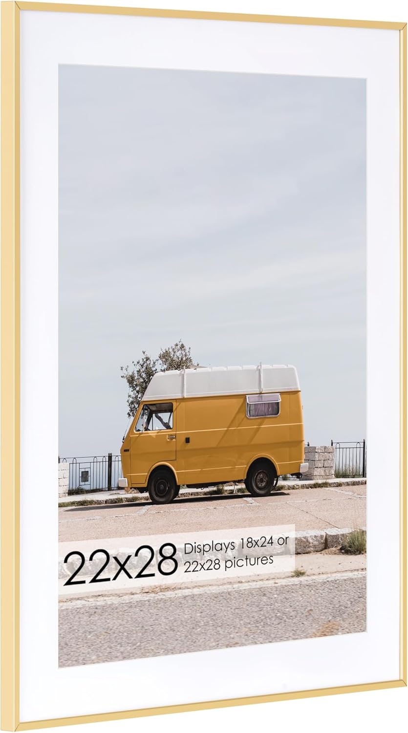 22x28 Metal Picture Frame with 18x24 Mat, Brushed Aluminum Finish, Tempered Glas...