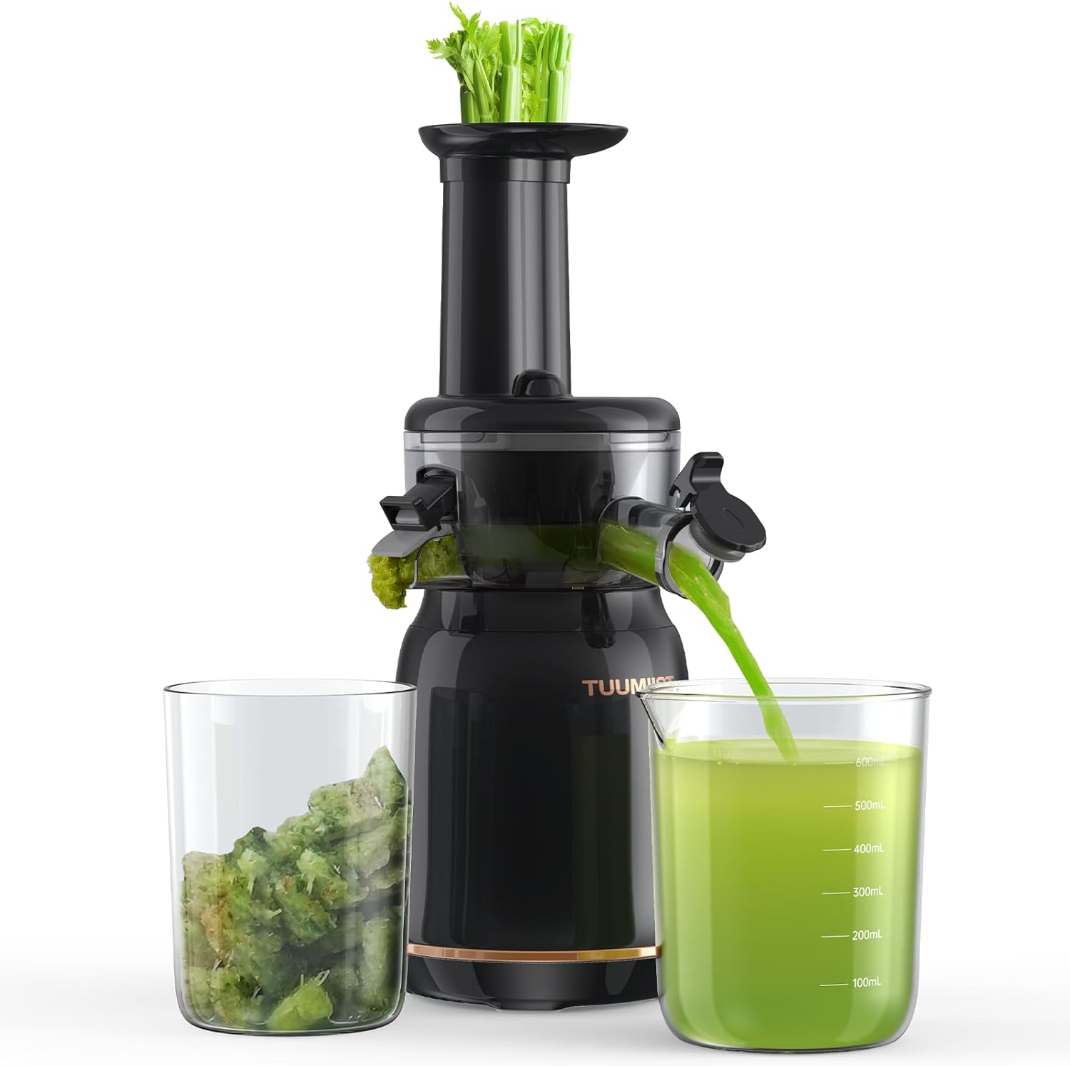 Juicer Machines, Cold Press Juicer for Vegetable and Fruit with Upgraded Slow Ju...