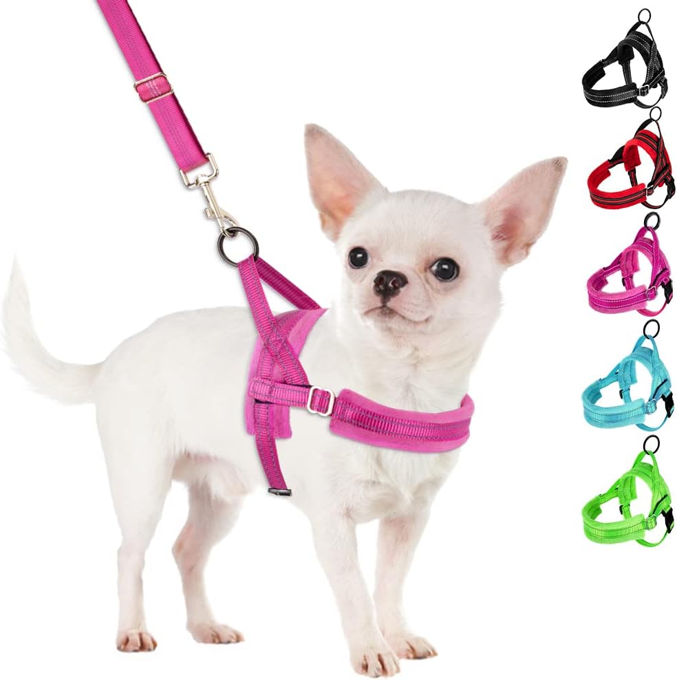 SlowTon No Pull Small Dog Harness and Leash Set, Puppy Soft Vest Harness Neck &...