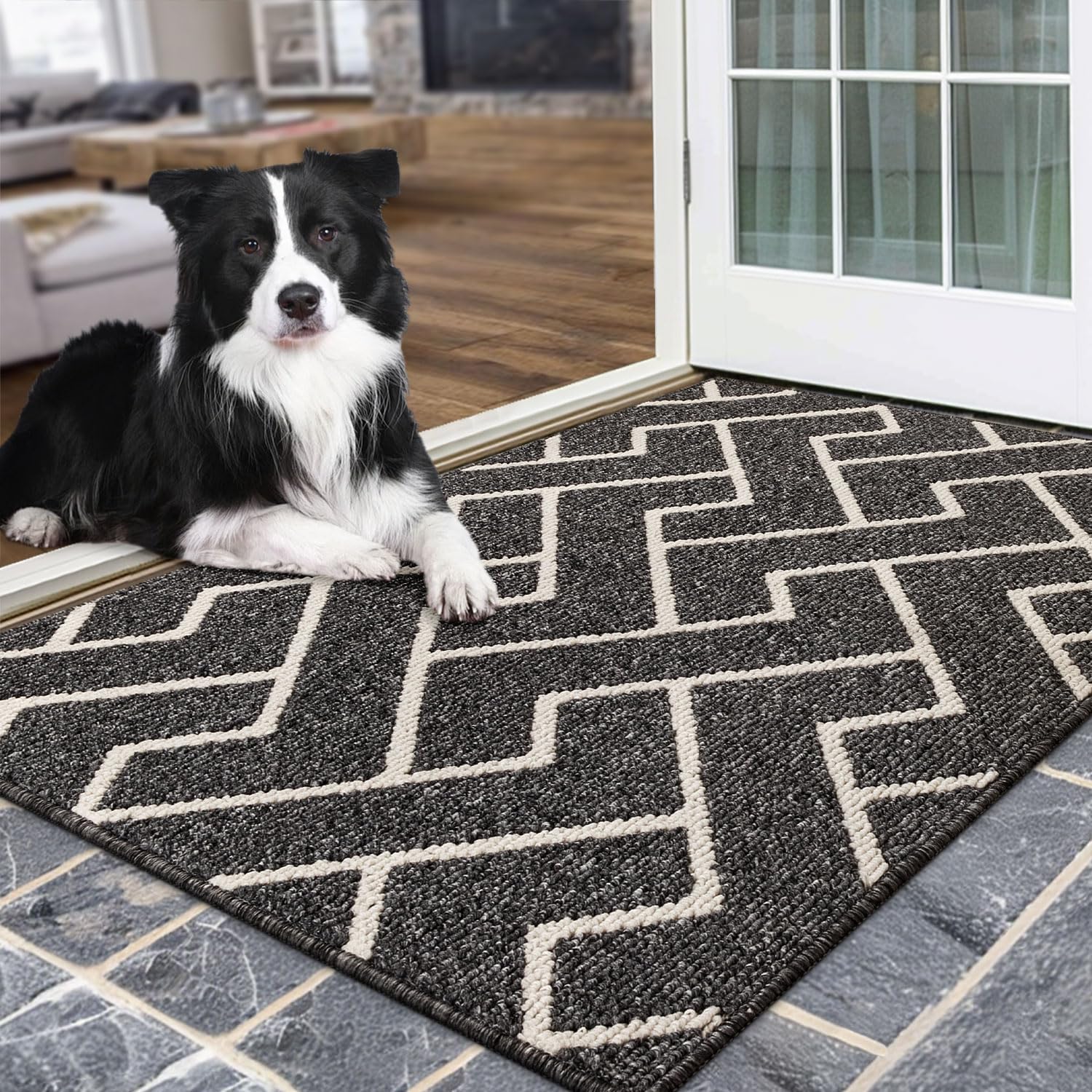 hicorfe Indoor Doormat,Front Back Door Mat Rubber Backing Non Slip Door Mats,32"...