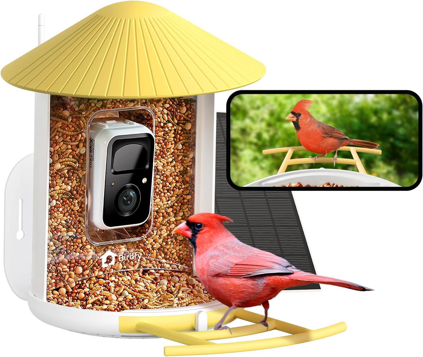 NETVUE by Birdfy Smart Bird Feeder with Camera, Bird Watching Camera Auto Captur...