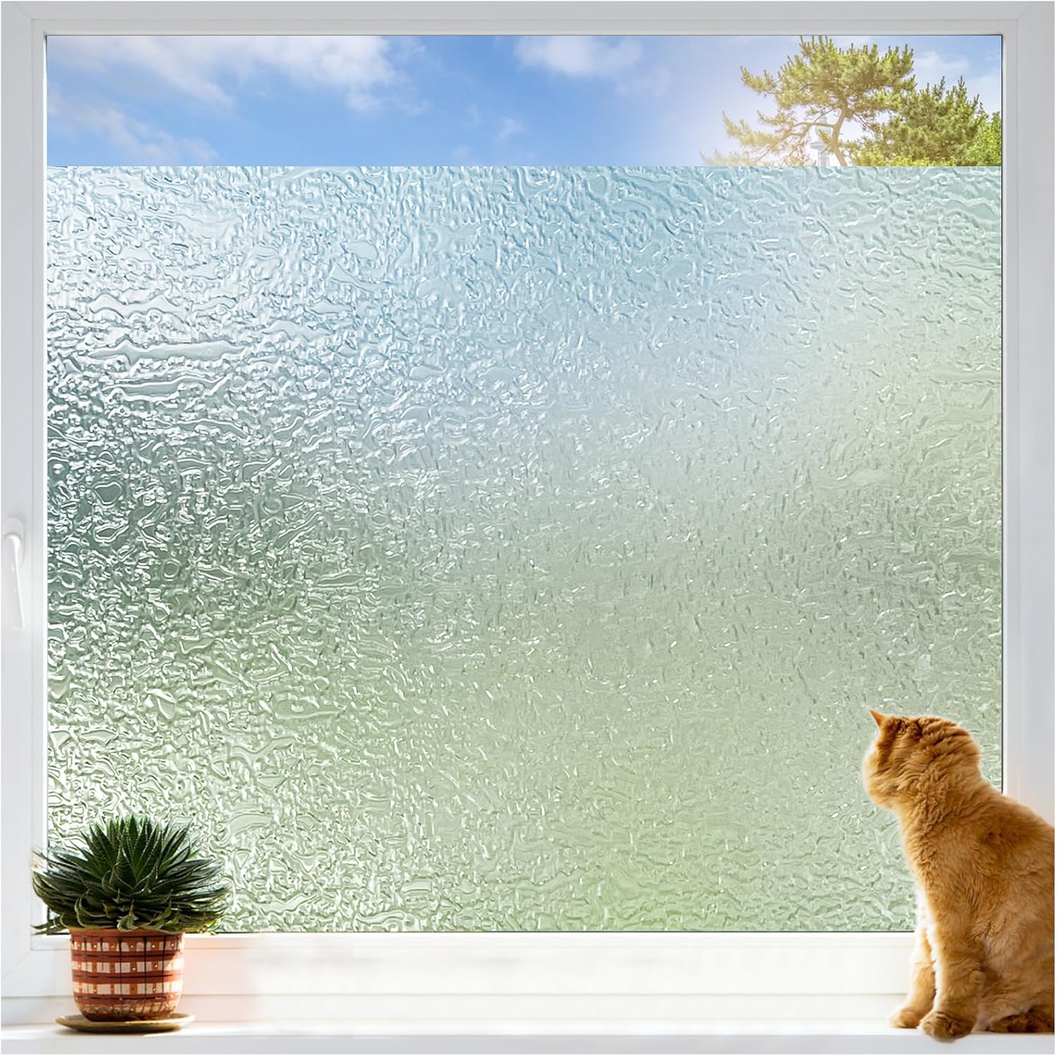 Coavas Window Privacy Film, Special Decorative Frosted Glass Window Film, Innova...