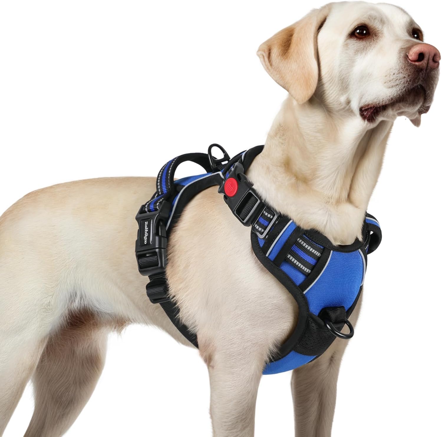 rabbitgoo Dog Harness, Adjustable Anti Pull Harness with Neck Release Buckle, In...