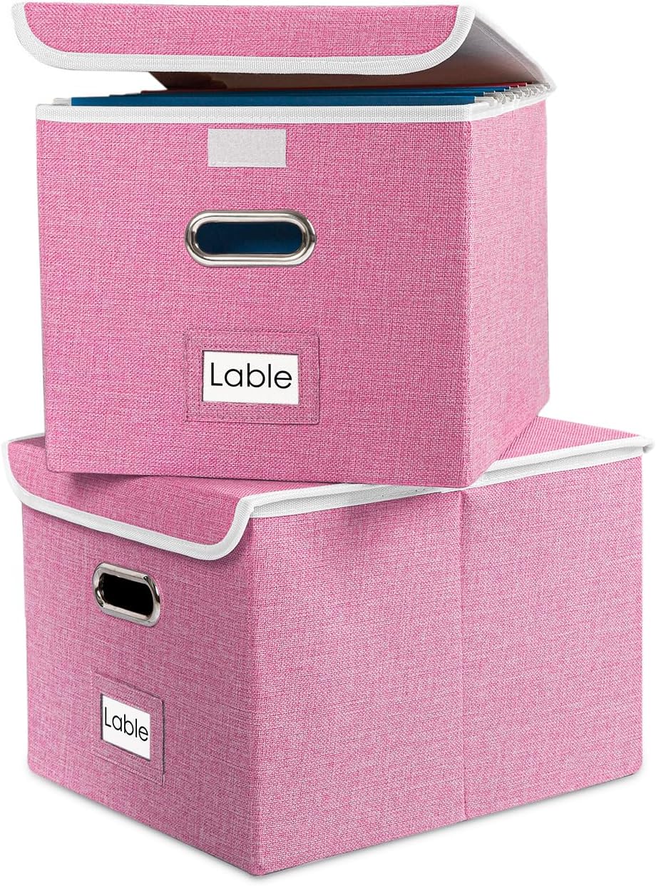 PRANDOM File Organizer Box, High-Quality Collapsib...