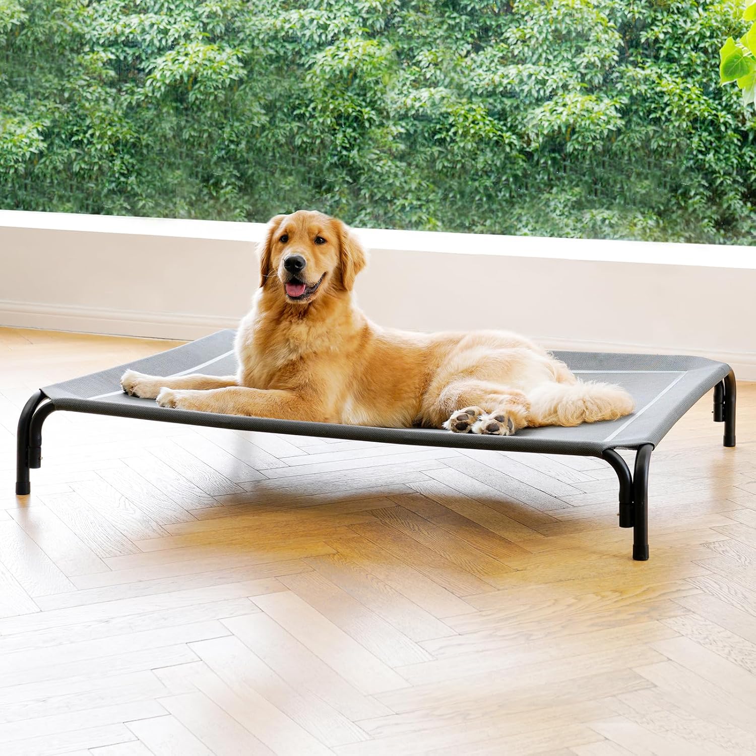 Elevated Dog Bed Raised Outdoor Dog Cot for Large Dogs, Installation Requires No...