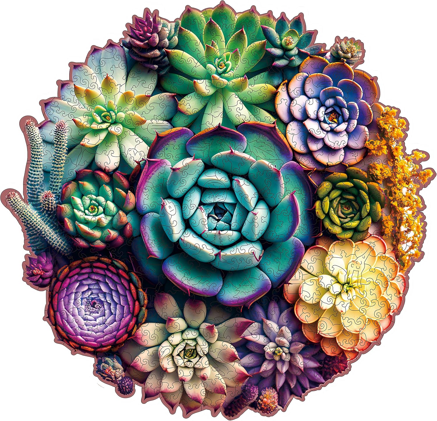 Wooden Jigsaw Puzzles - Mandala Succulent Plants, 200 Piece Luxurious Shaped Woo...