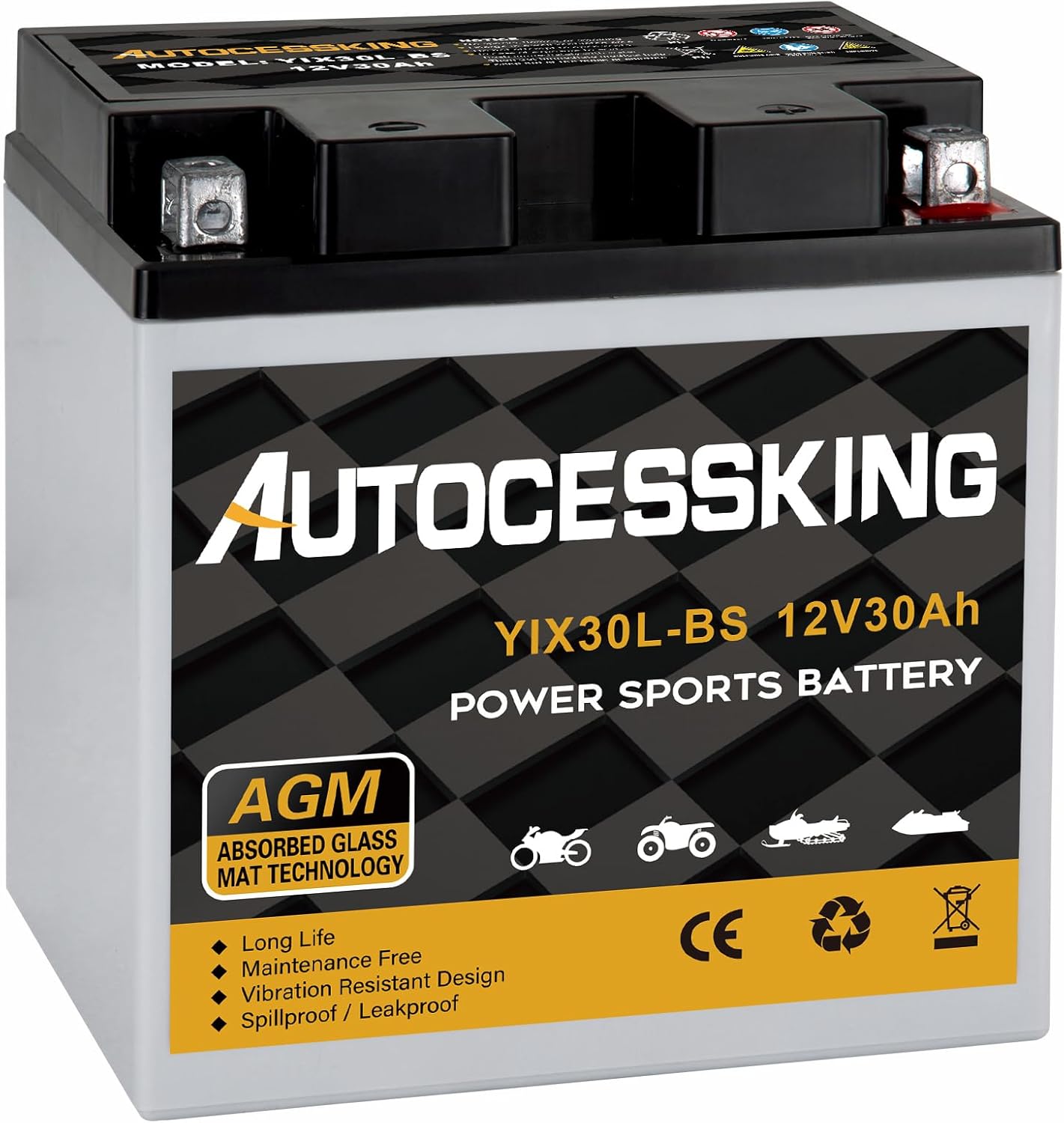YTX30L-BS Motorcycle Battery, 12V 30AH Rechargeable Maintenance Free Sealed AGM...